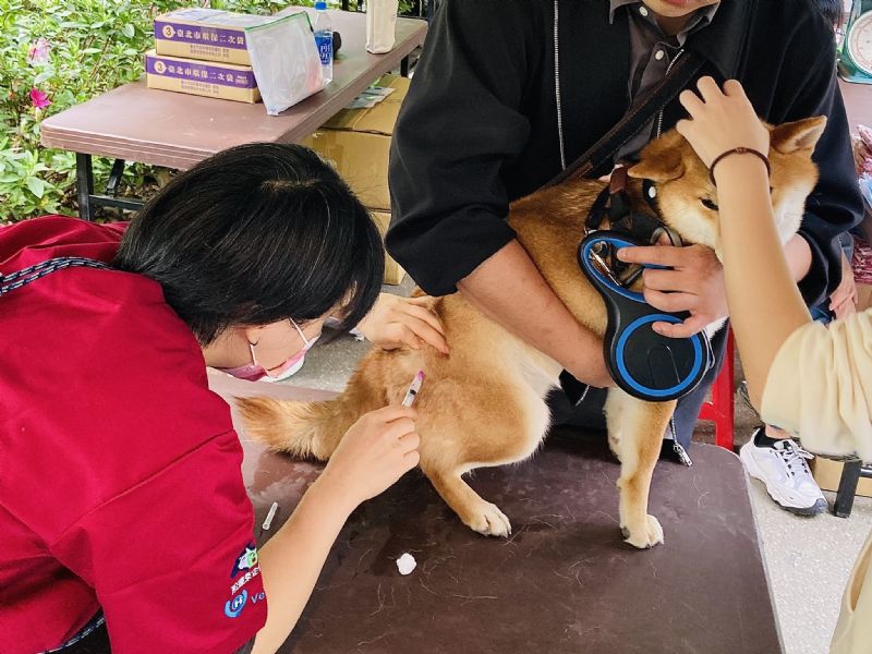花海野餐遇見毛孩！北市動保處邀您春遊大安森林公園，守護寵物健康